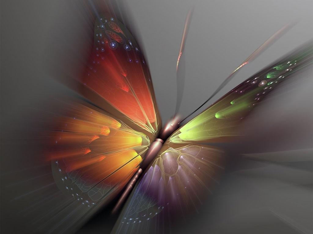 Animated Butterfly Wallpaper Desktop