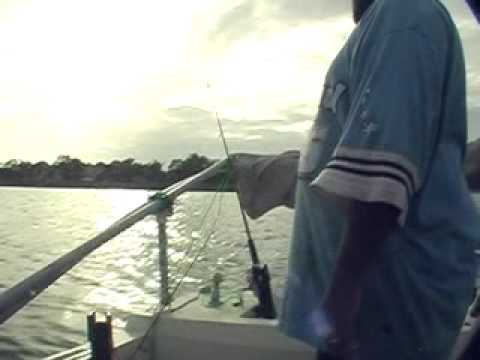 Bank Fishing Catfish Tips