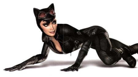 Batman Arkham City Catwoman Code Missing