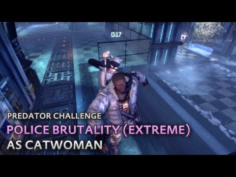 Batman Arkham City Catwoman Mod