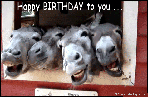 Birthday Wishes For Friends Funny Quotes