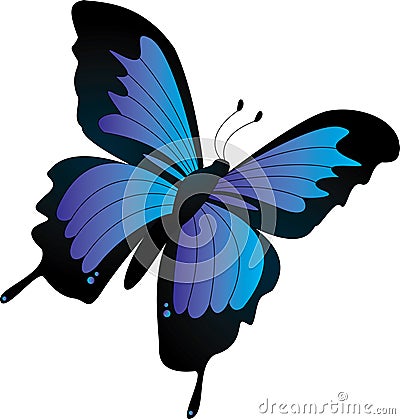 Black Butterflies Cartoon