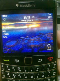 Blackberry Bold 9780 White Screen Solution