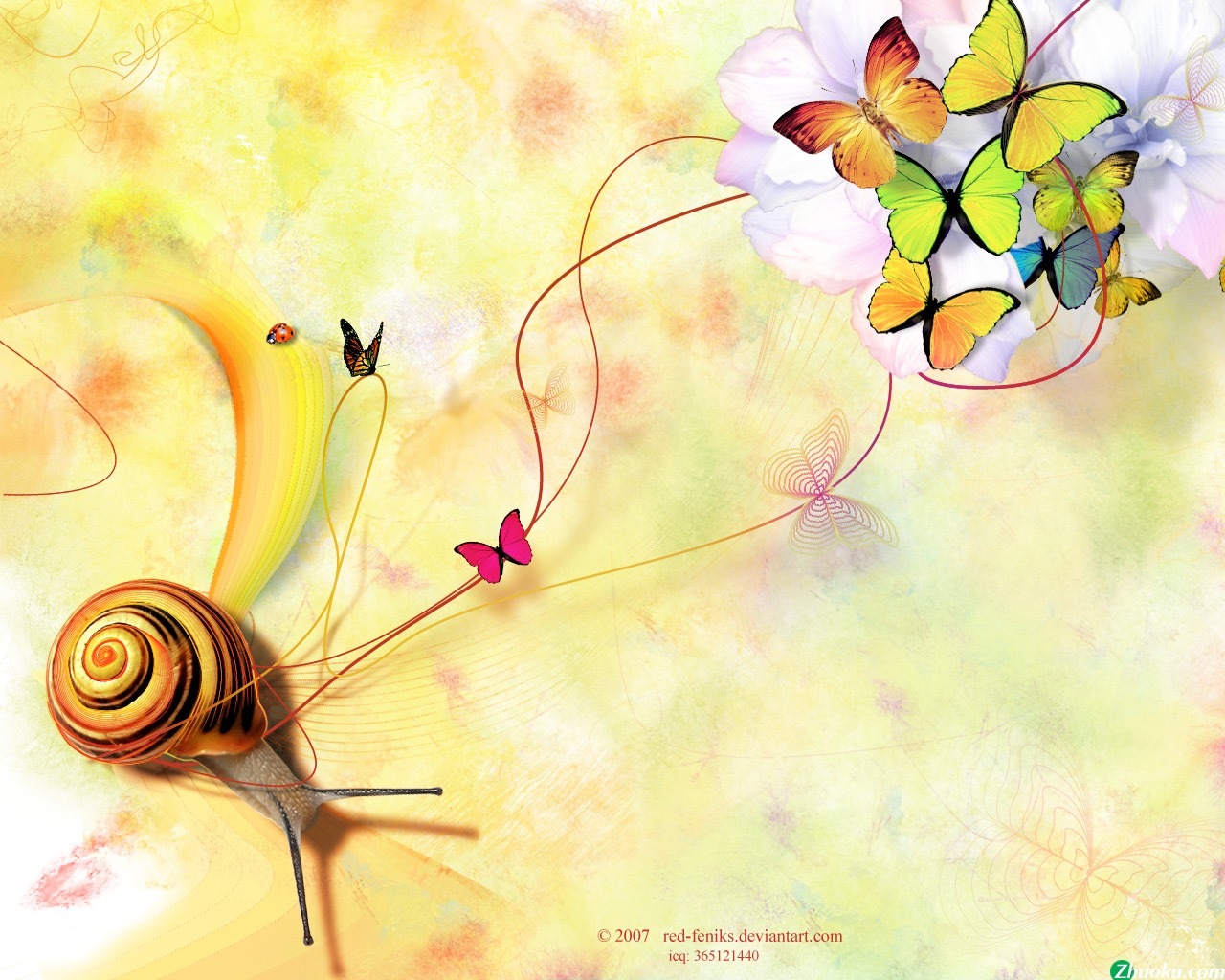 Butterflies Background Pictures