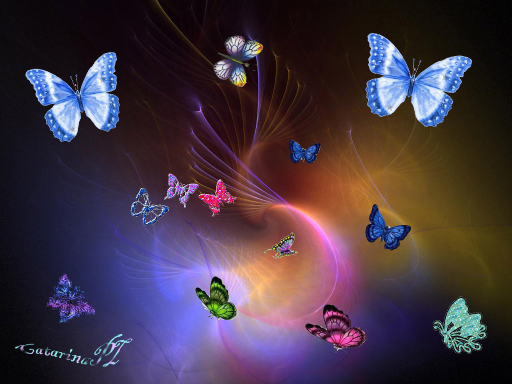 Butterflies Wallpaper Pictures