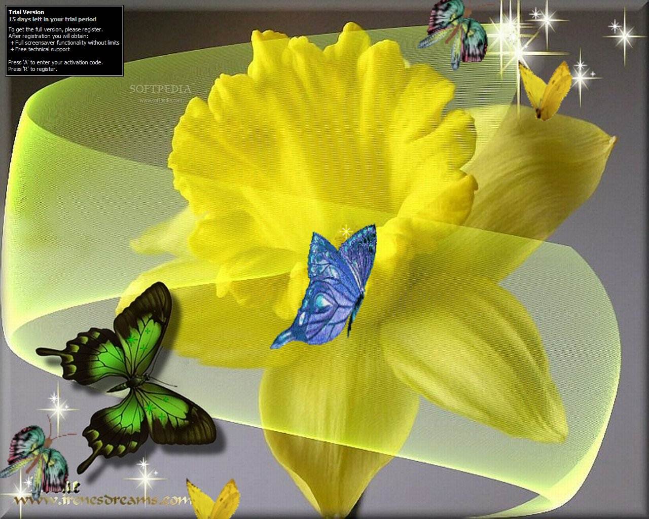 Butterfly Images For Desktop