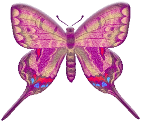Butterfly Images Free Clip Art
