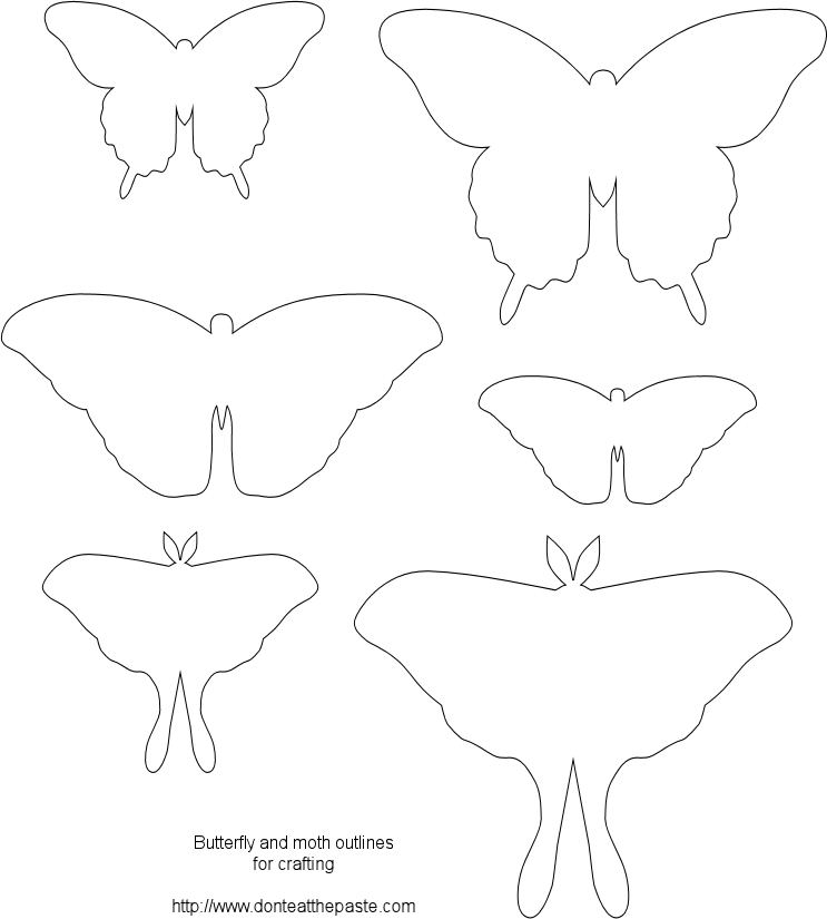 Butterfly Outline For Coloring