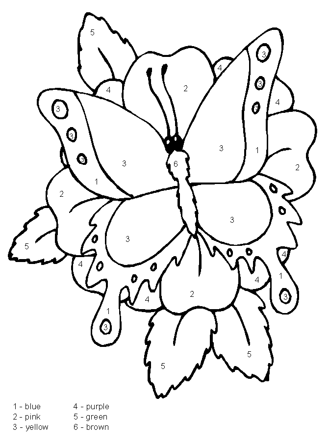 Butterfly Pictures To Colour In