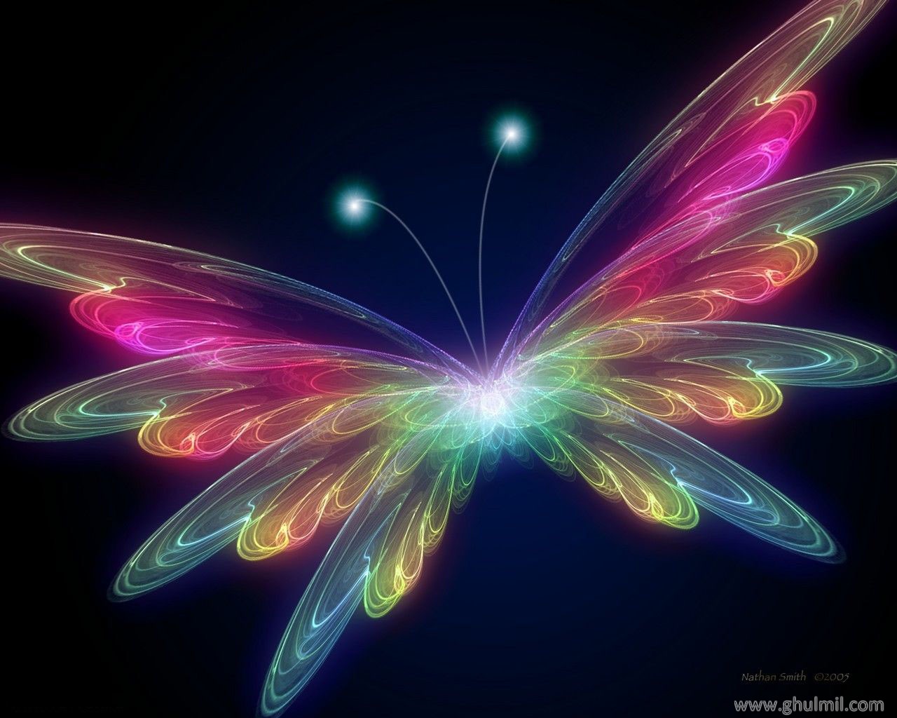 Butterfly Wallpaper Desktop Hd