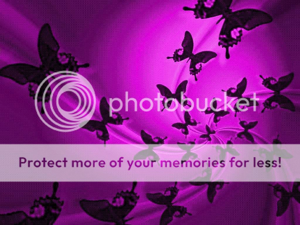 Butterfly Wallpaper Desktop Hd