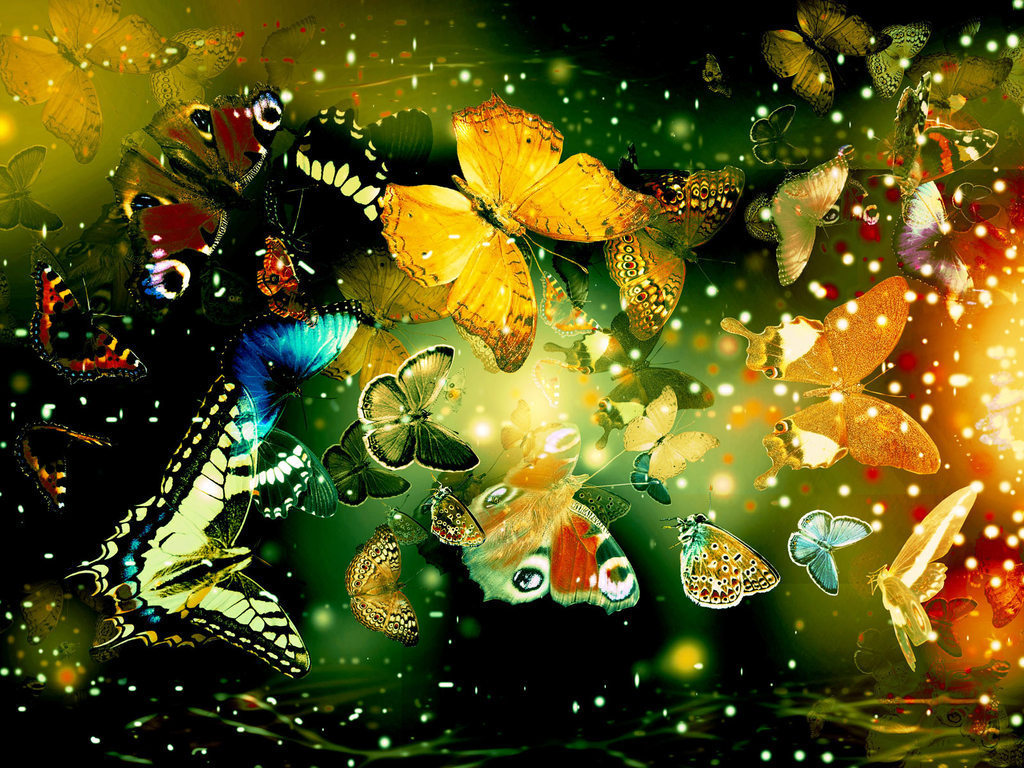 Butterfly Wallpaper Images
