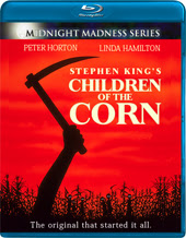 Children Of The Corn 3 Synopsis
