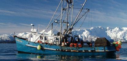 Commercial Fishing Boats For Sale In California