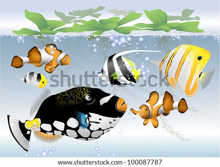 Drawing Of Fishes In The Sea