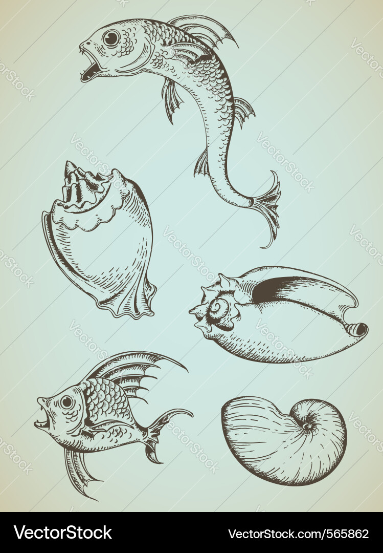 Drawing Of Fishes In The Sea
