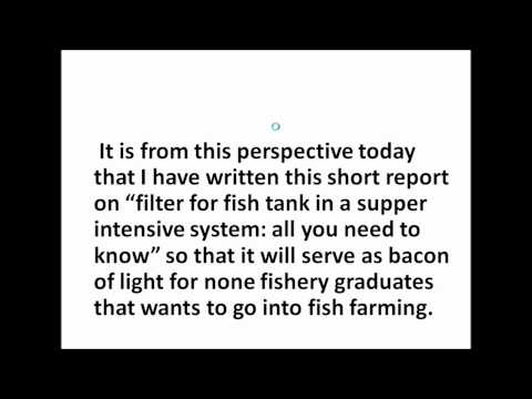 Elite Fish Tank Filter Setup