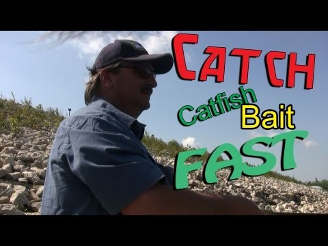 Fishing Catfish Bait