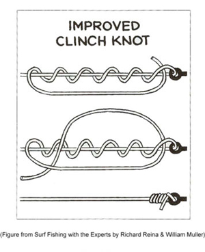 Fishing Knots Illustrated Hooks