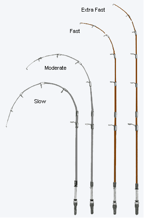 Fishing Pole Setup For Bass