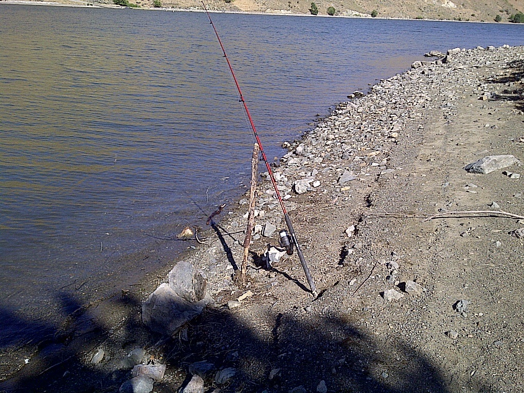 Fishing Pole Setup For Catfish