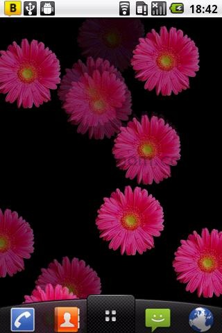 Flowers Wallpapers For Mobile Phones