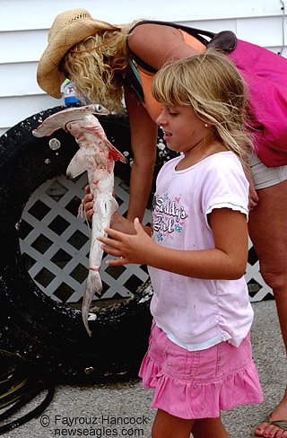 Girl Fishing Catches Shark
