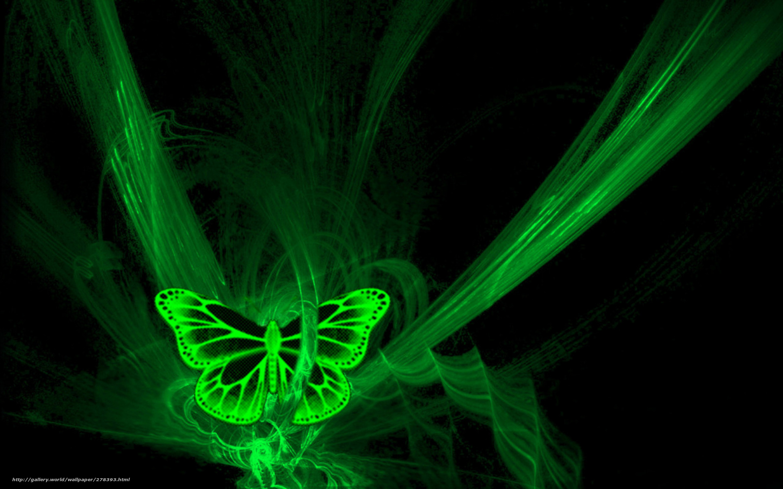Green Butterfly Wallpaper Desktop