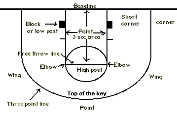 Half Basketball Court Size